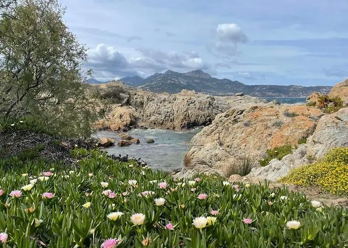 Vue A Sant'ambroggio, Lägenhet *